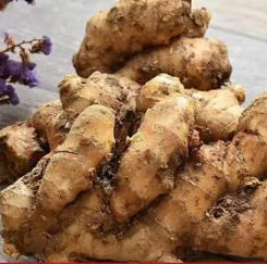 5.9元包邮！山东新鲜老姜5斤