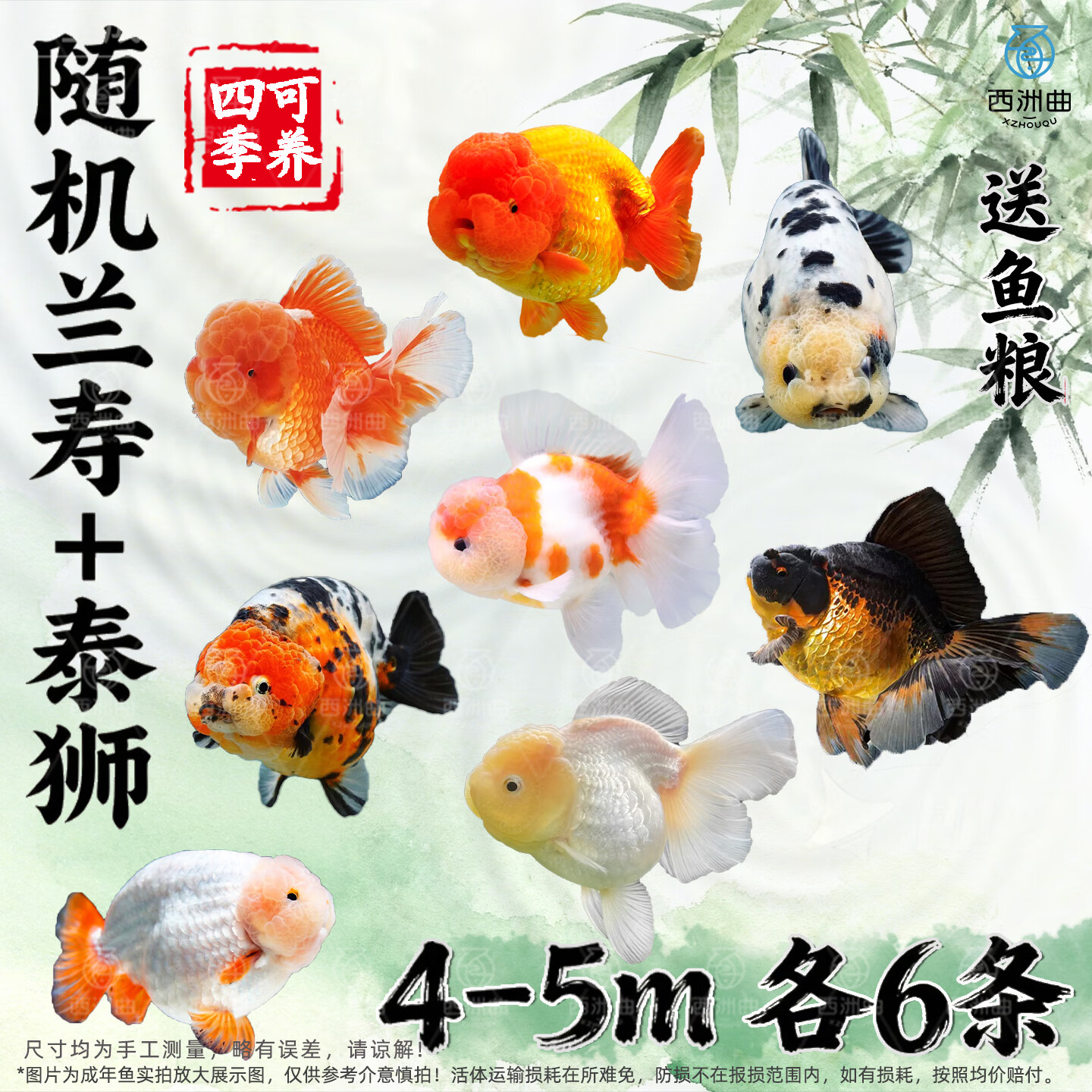 J东热销产品汇总20点档更新2026/02/07