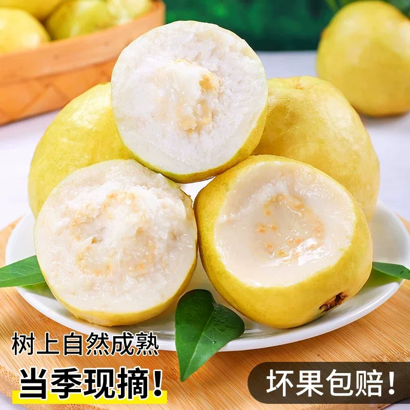 白心奶油芭乐5斤