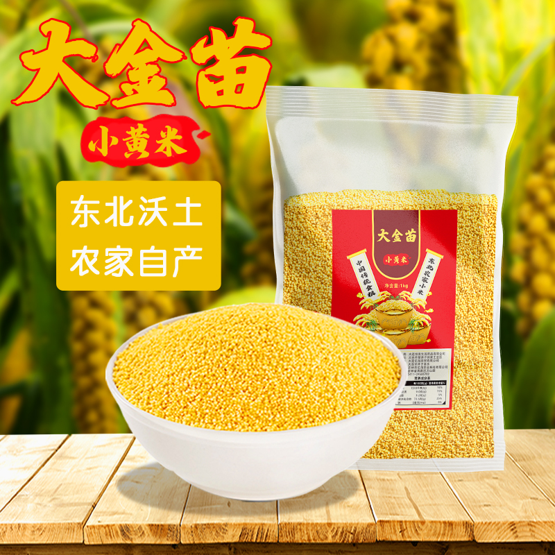 【拍2件共4斤】燕迎春大金苗东北小黄米