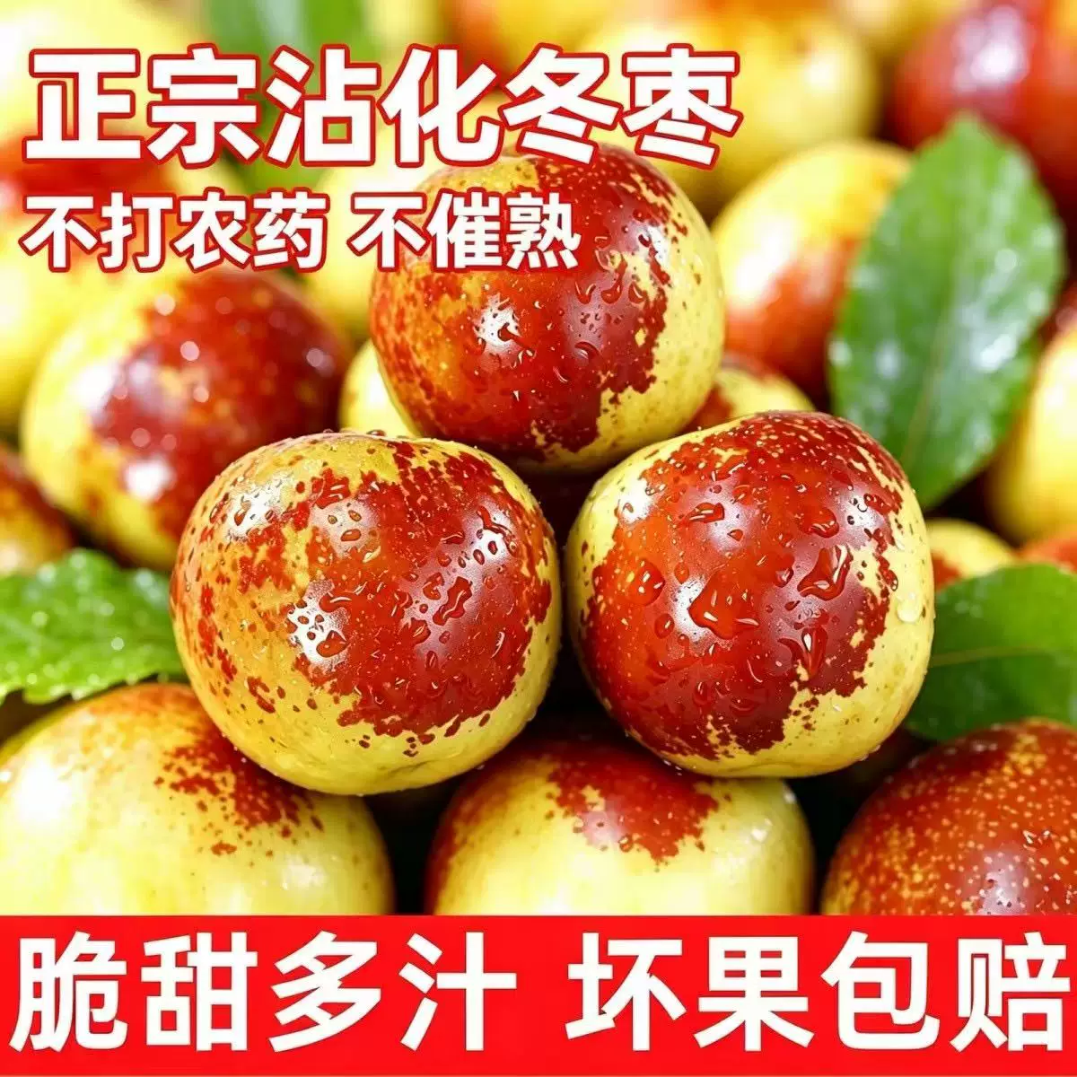 沾化冰糖冬枣5斤