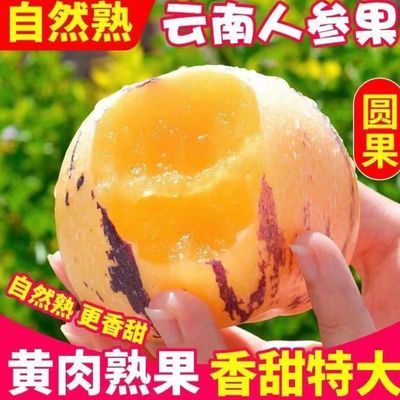 PDD热销产品汇总08点档更新2023/10/04