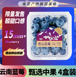 30.8元包邮！京鲜生 云南蓝莓  4盒礼盒装 约125g/盒 