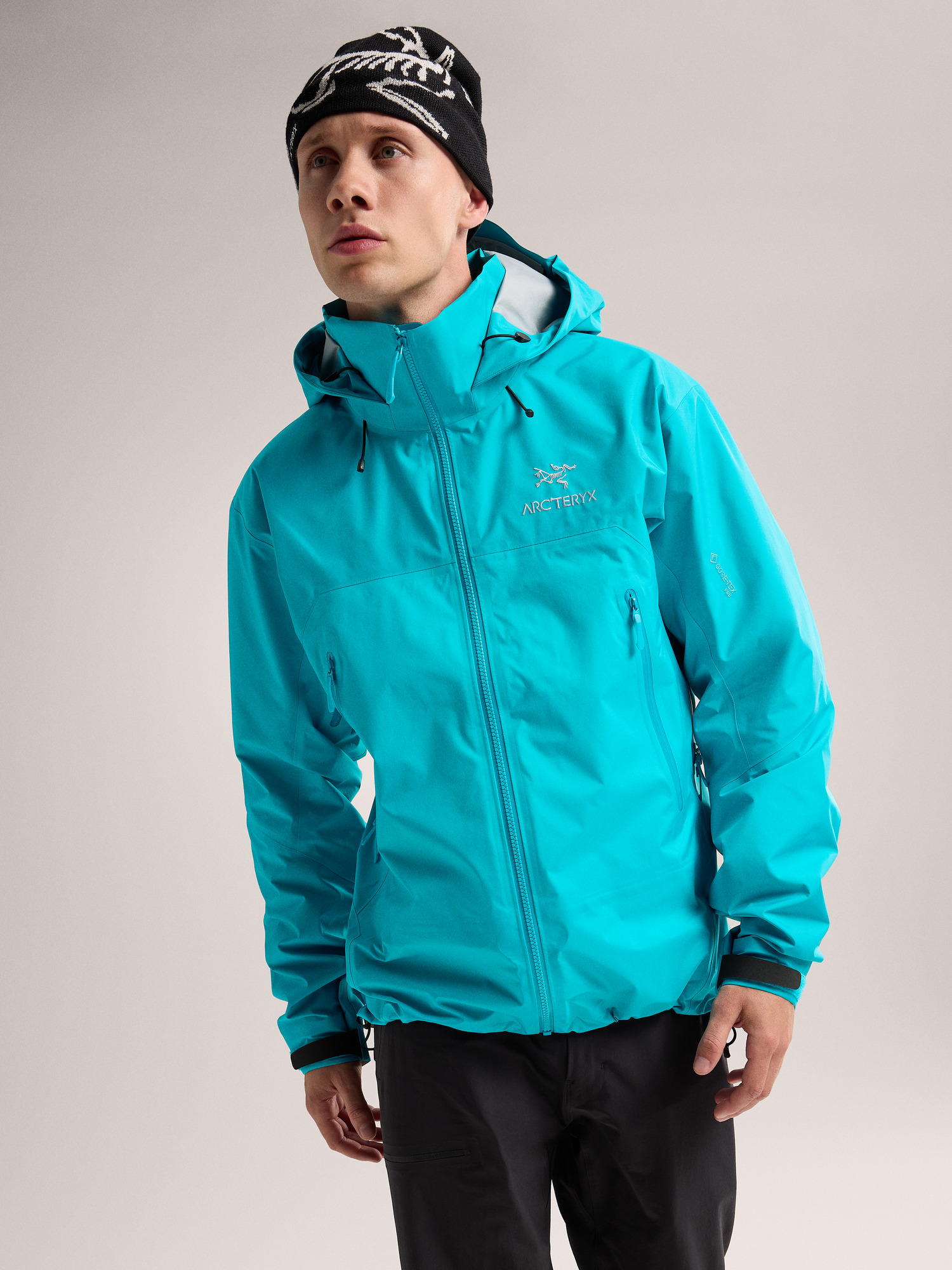 Arcteryx Beta AR Jacket Men's