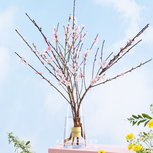 京东 花点时间 女神节礼物