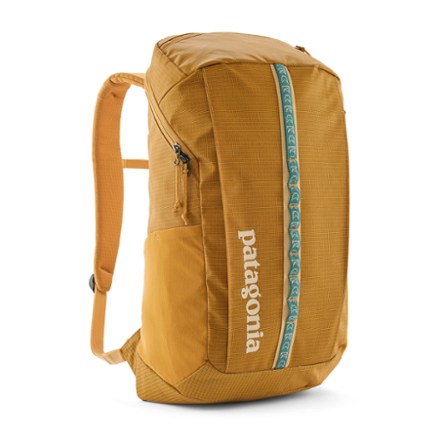 Patagonia Black Hole Pack - 25 L