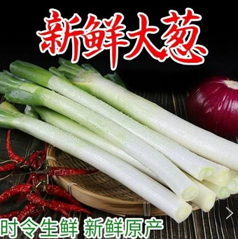 9.9元包邮！山东大葱铁杆鲜嫩大葱3斤