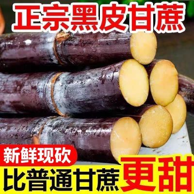 PDD热销产品汇总08点档更新2026/10/14