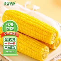 19.9元包邮！珍谷诱惑 东北有机黄糯玉米 *6支