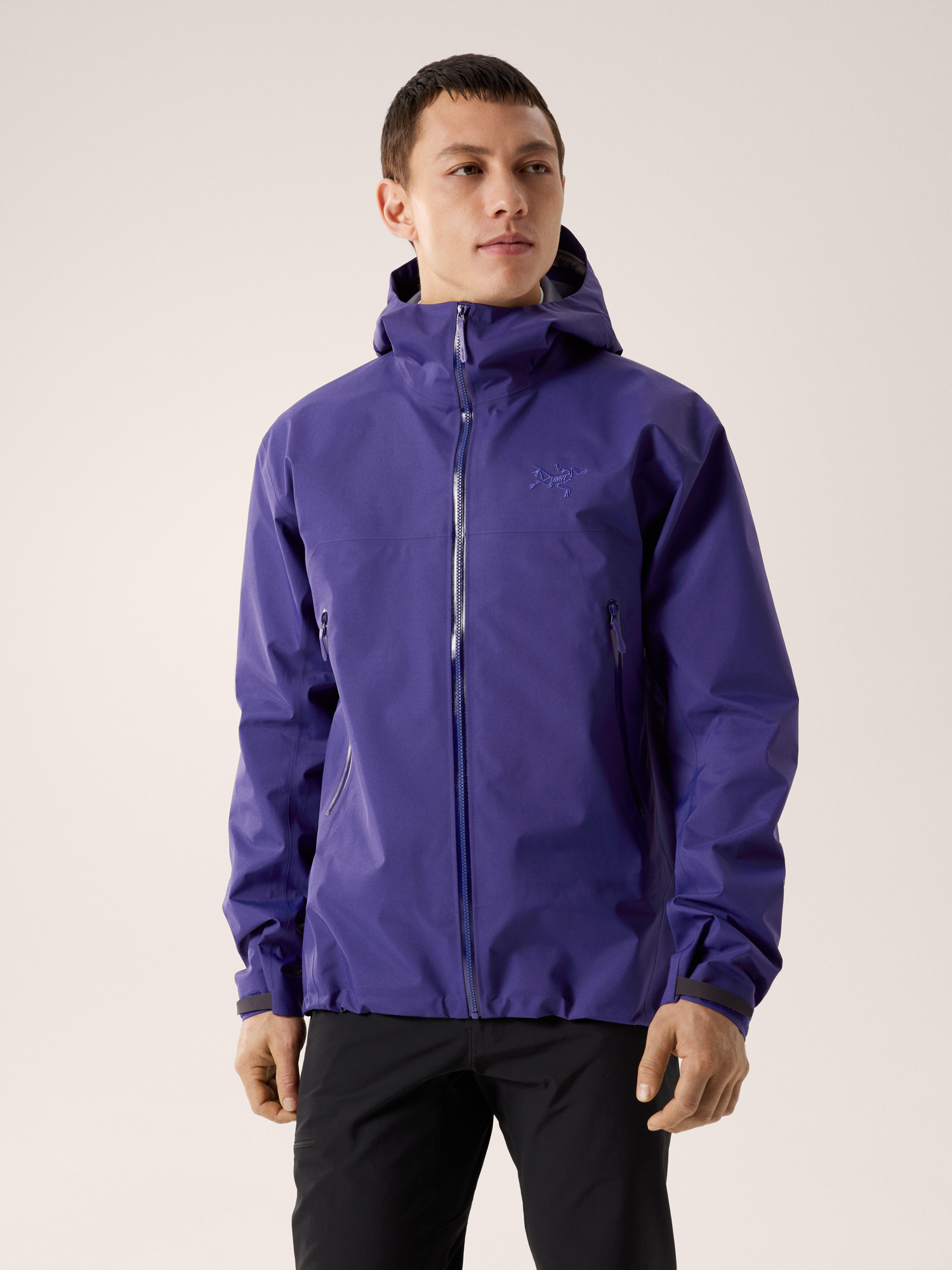 Arcteryx Beta Jacket Men's