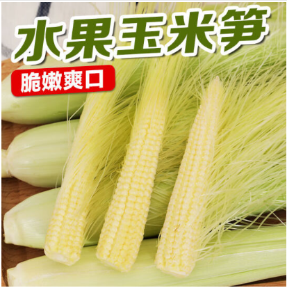 瑃蔻睿玉米好吃吗,瑃蔻睿玉米怎么样