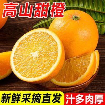 PDD热销产品汇总08点档更新2023/12/07