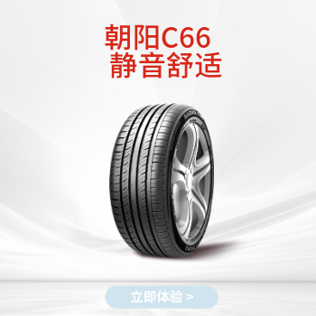 京东 朝阳1号 轮胎标杆 爆款直降