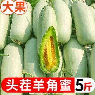 22.8元包邮！山东羊角蜜甜瓜5斤精选