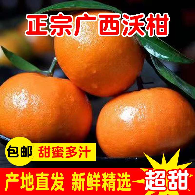 广西武鸣沃柑 偿鲜装 净重9斤