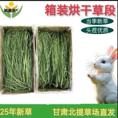 PDD热销产品汇总08点档更新2025/11/07