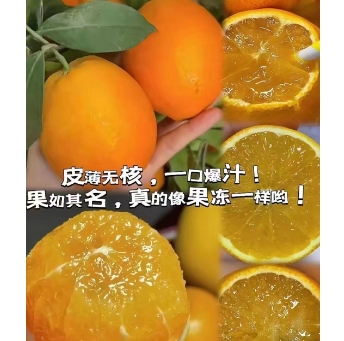 10.9元包邮！3斤大果爱媛果冻橙（好评商家返2元）