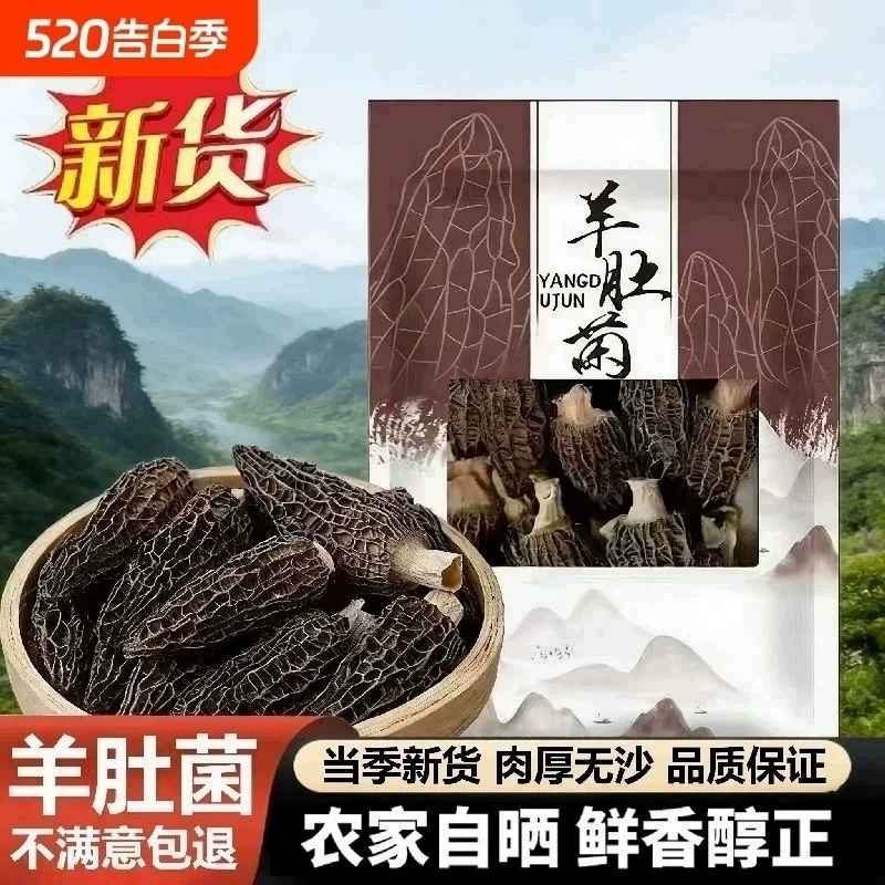 【果官宣】古田高山精选羊肚菌干货