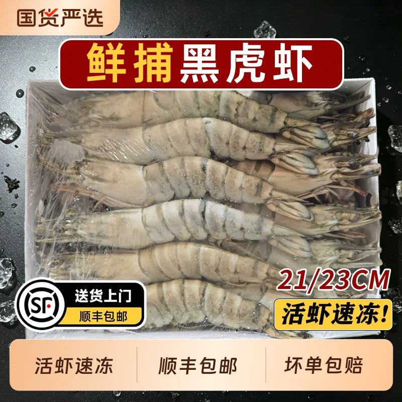 2斤！【虾有虾途】特大黑虎虾单只21-23cm