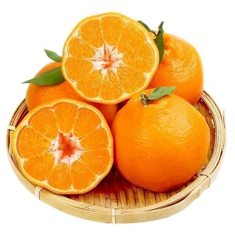 【品控在场质量保证】四川不知火丑橘4.5斤