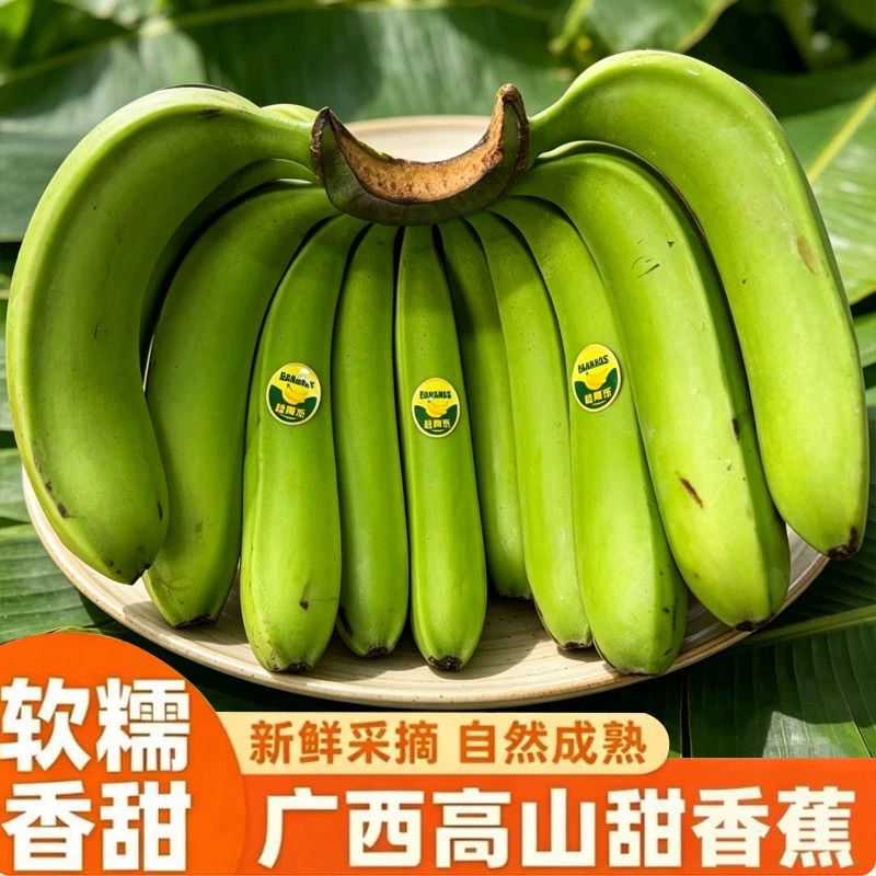 广西高山甜香蕉5/9斤新鲜水果现摘现砍现发整箱自然熟青皮香蕉