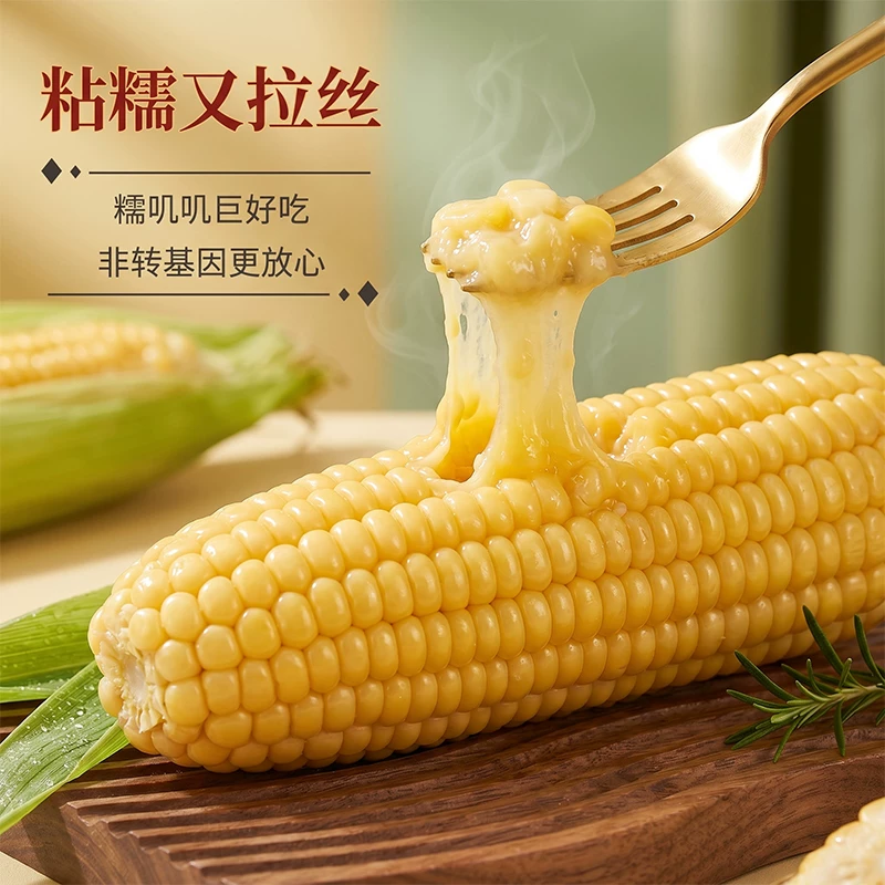 东北现摘新鲜玉米10根