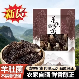 【果官宣】精选羊肚菌头茬正品新鲜煲汤滋补食材炖汤干货无干燥剂