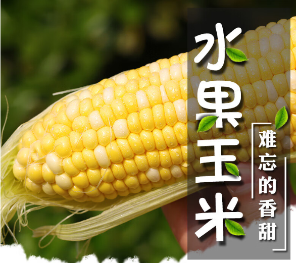 舌尖戏水玉米棒好吃吗，舌尖戏水玉米棒有添加剂吗