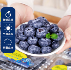 69.8元包邮！新鲜 蓝莓 125g*12盒 单果12-14mm