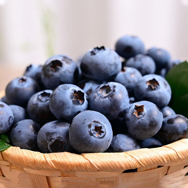 【佳品云蓝】现摘云南蓝莓125g×12盒