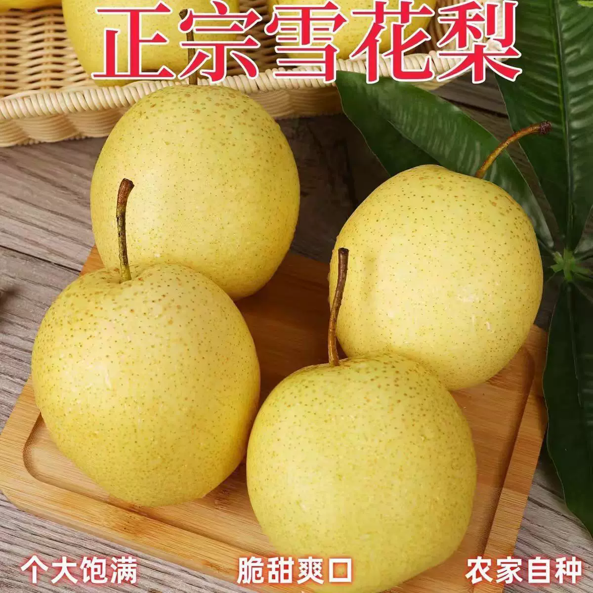 【下拉金币到手11.8】赵县雪花梨4.5斤