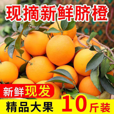 PDD热销产品汇总20点档更新2023/12/06