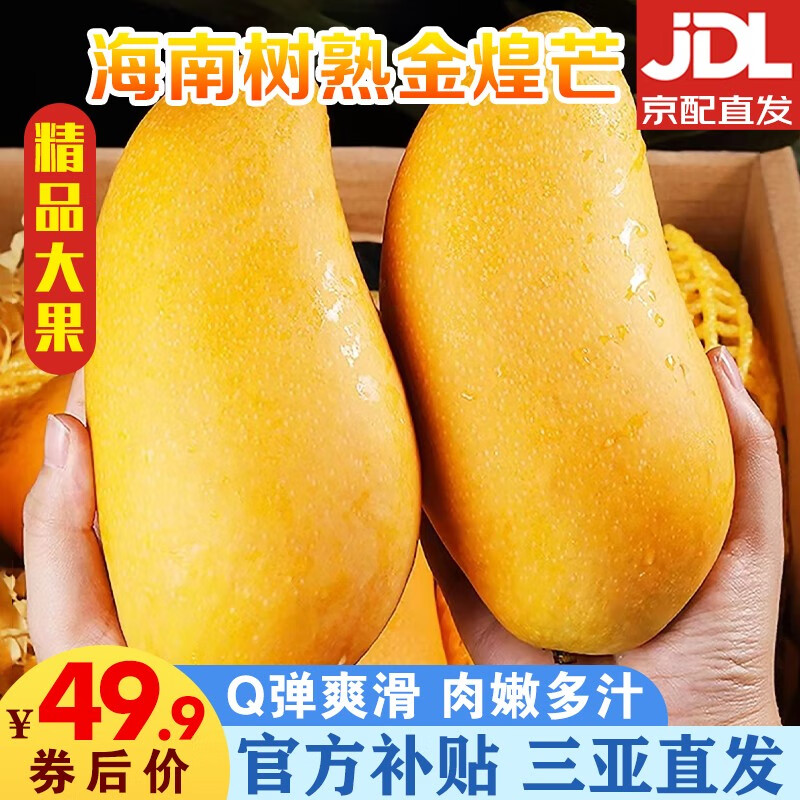 49.9元 禾三百【官方直补】三亚芒果海南金煌芒精品大果水果礼盒新鲜树上熟芒果 【家庭超值装】8.5-9斤单果300g+