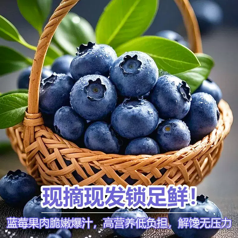 云南高山蓝莓现摘特大果 新鲜直达