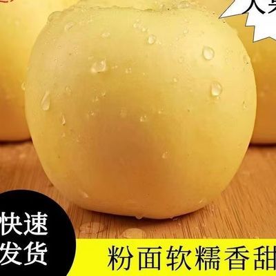 PDD热销产品汇总02点档更新2023/12/23