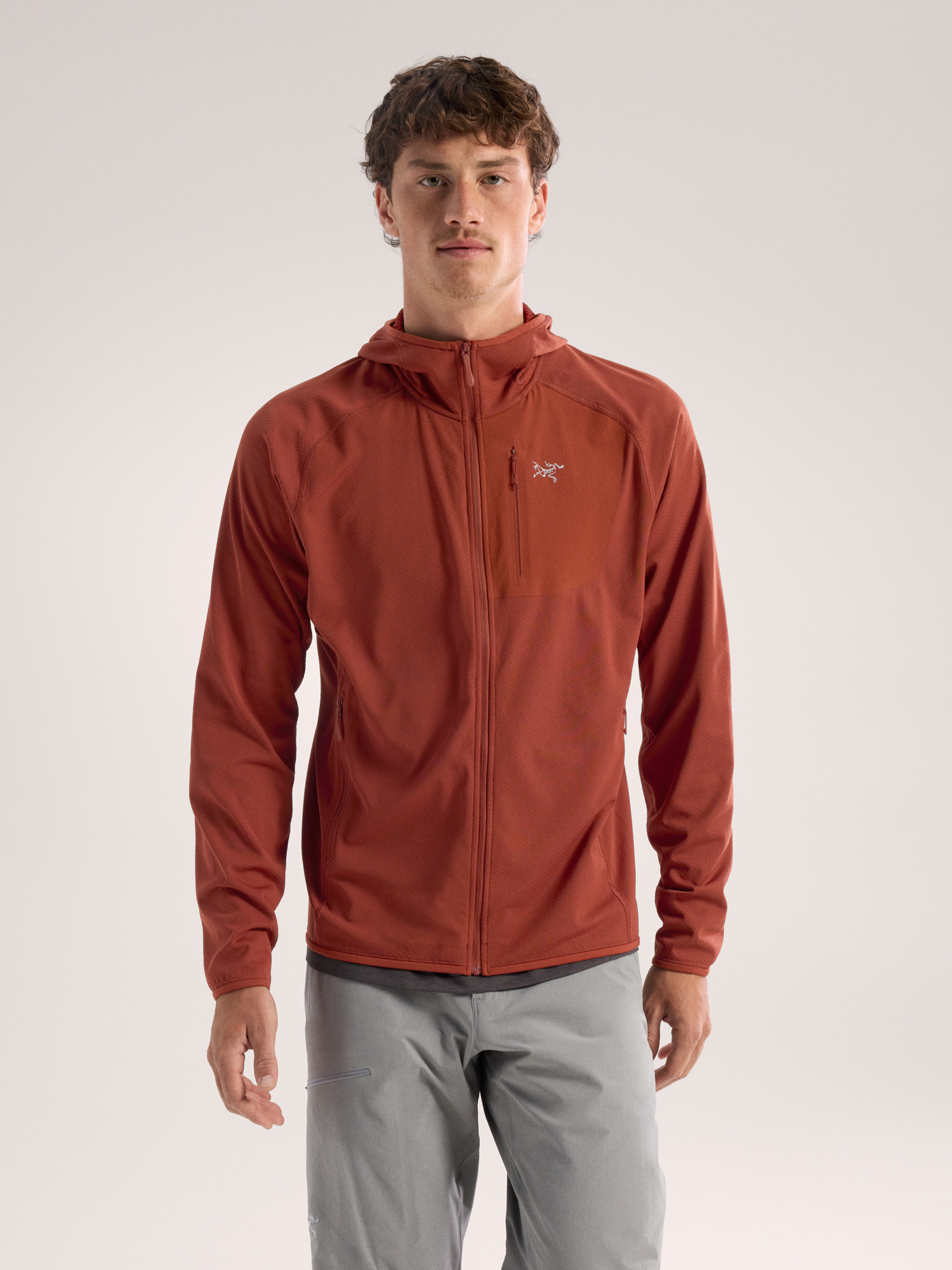 Arcteryx Delta Hoody Men's