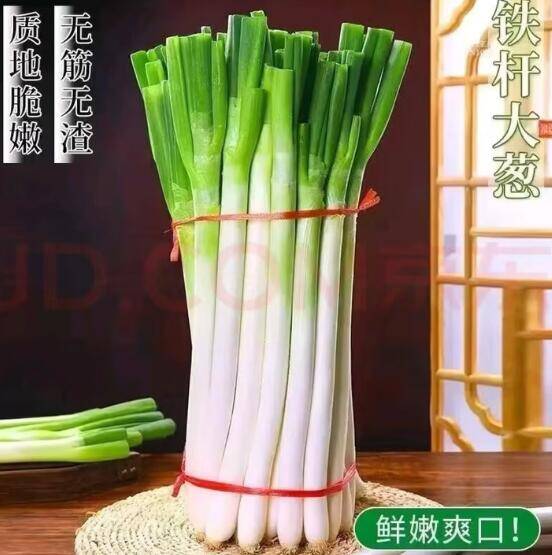 山东大葱2斤仅需2.9元