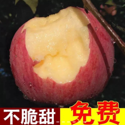 【低价冲量】16.9元包邮！正宗大凉山丑苹果9-10斤