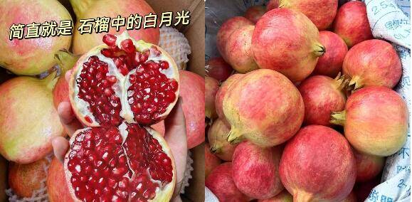 京鲜生突尼斯软籽石榴4.5斤：漏洞价16.9元，领50-5券更划算
