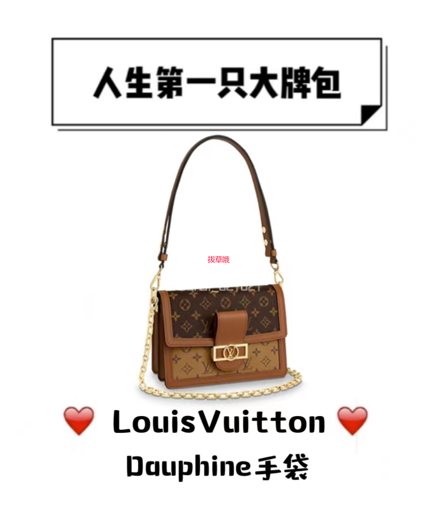 人生第一只大牌包|Lv Dauphine