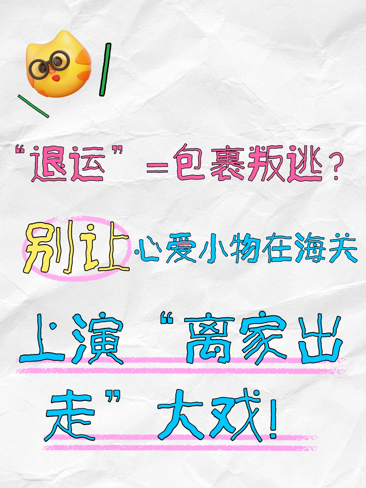 “退运”=包裹叛逃？别让心爱小物在海关上演“离家出走”大戏！