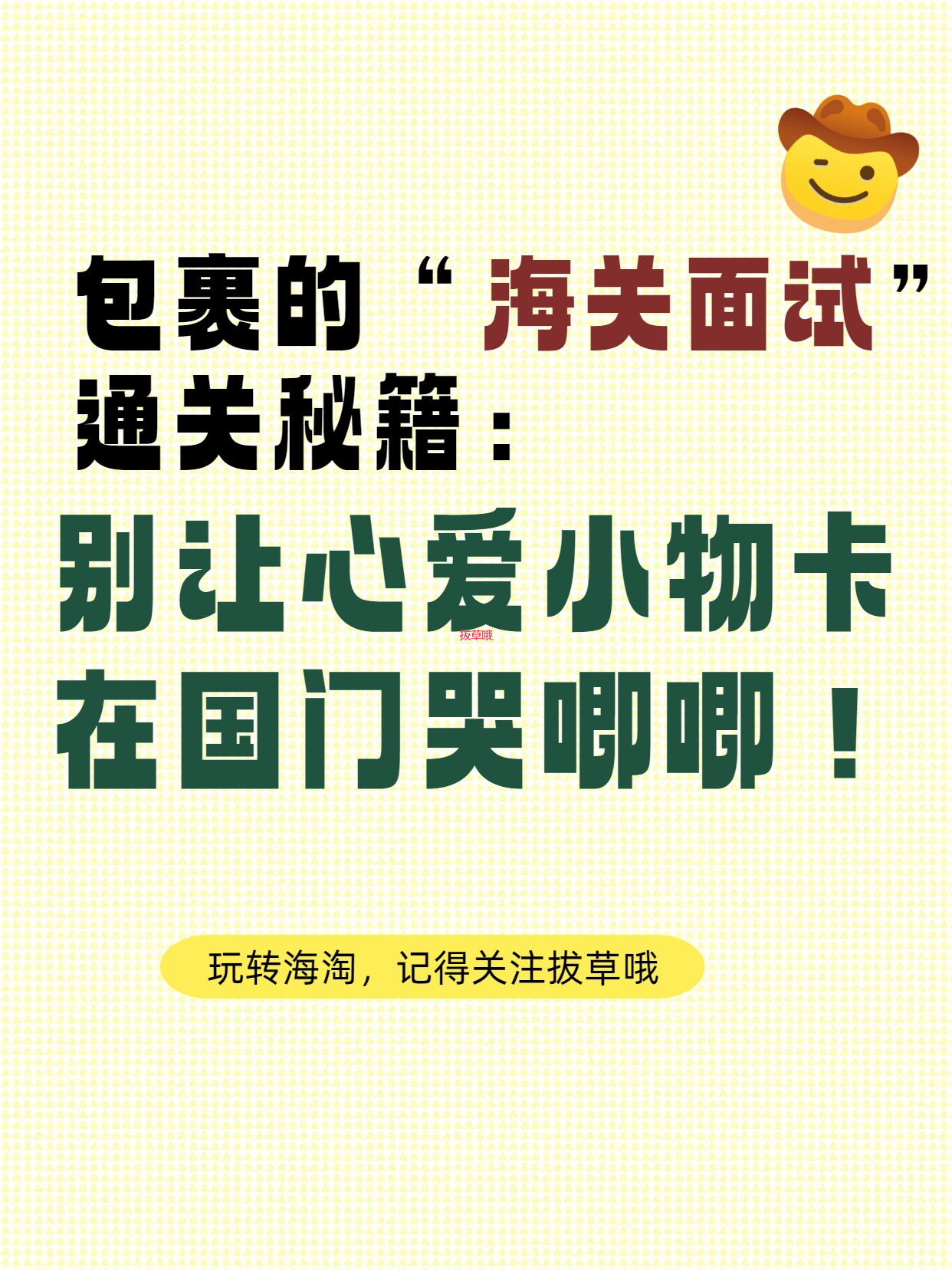 包裹的“海关面试”通关秘籍：别让心爱小物卡在国门哭唧唧！