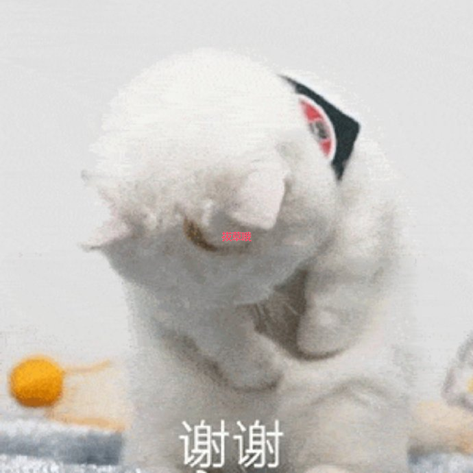 日本亚马逊的客服如何联系呀 有中文的吗