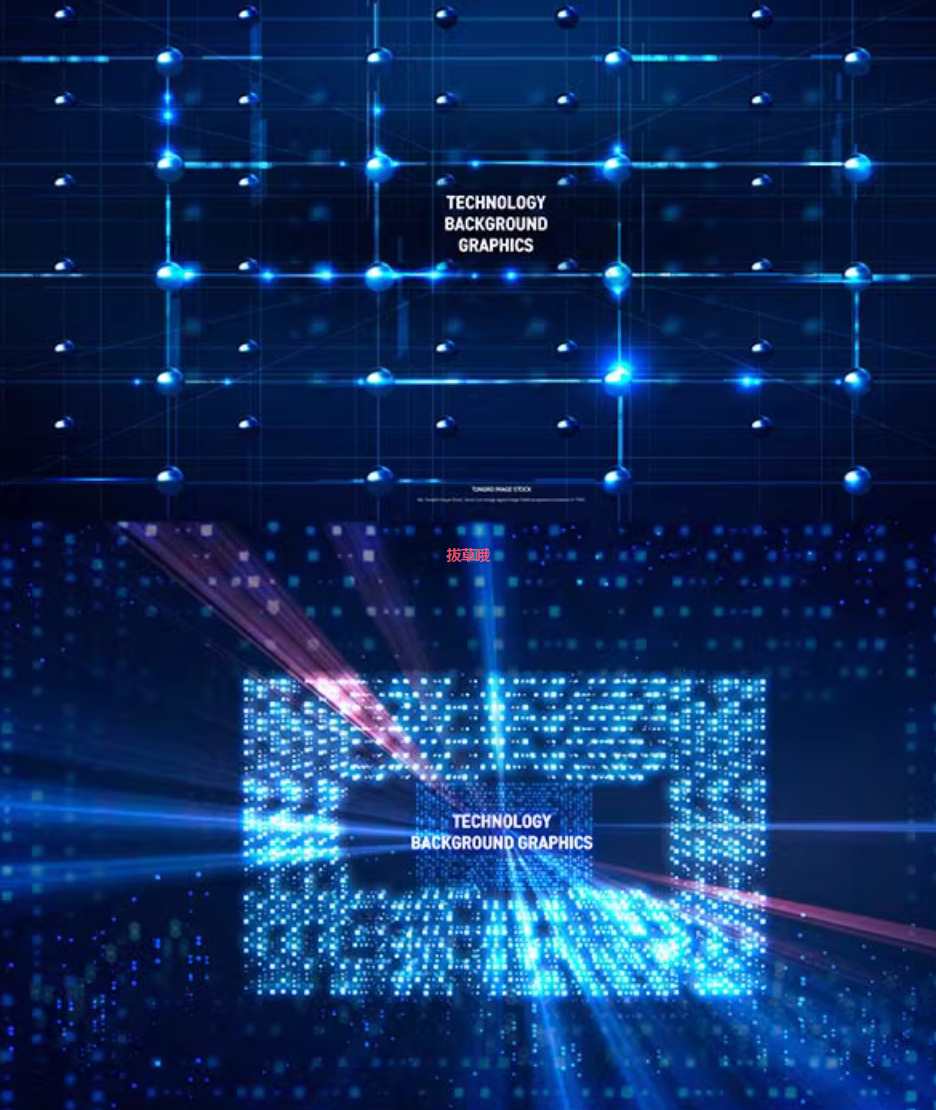 答网友问：海淘暗语里“梯子”是什么？