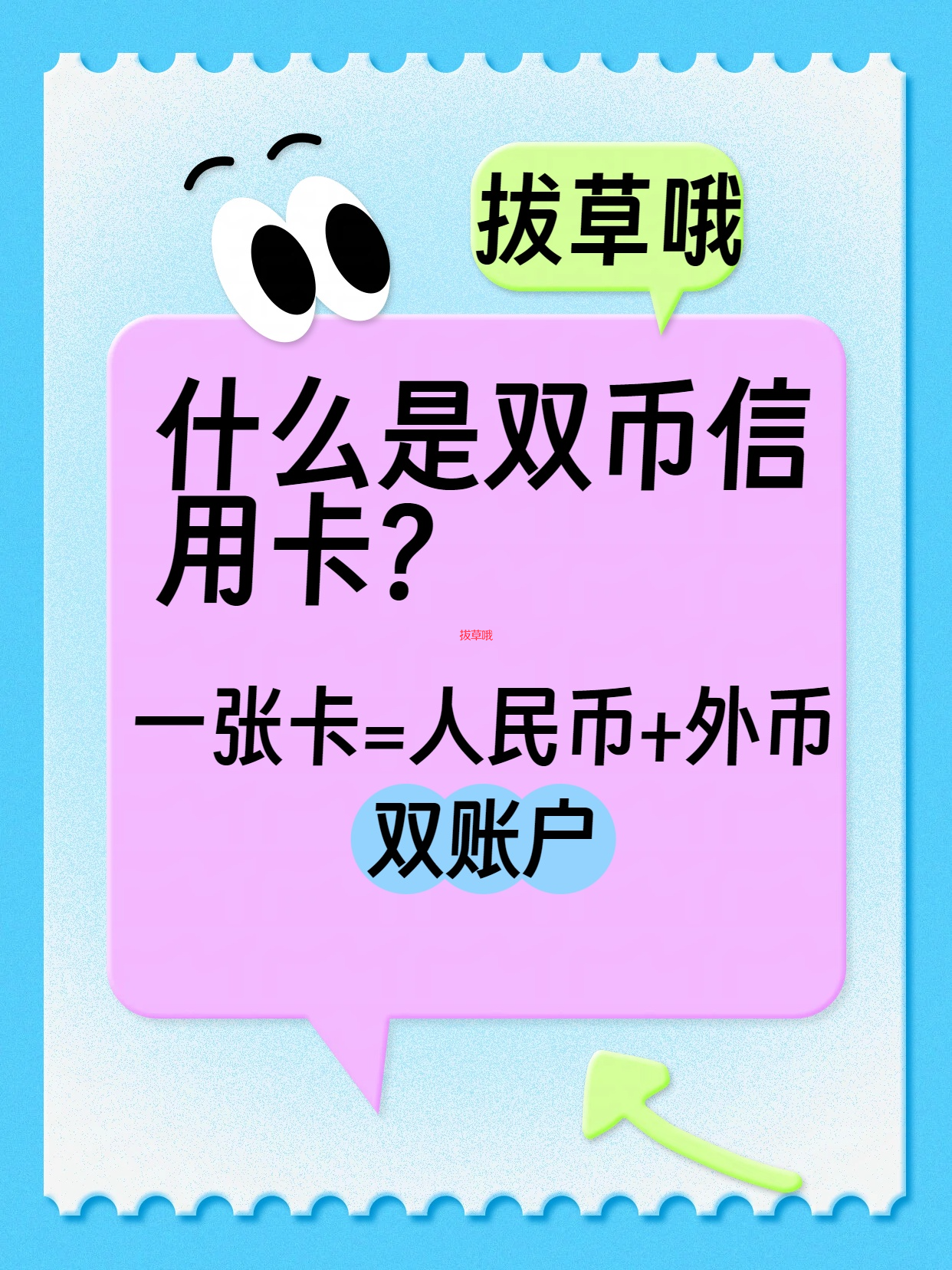 💳双币信用卡：不是两张卡，是你的“海淘外挂”已上线！