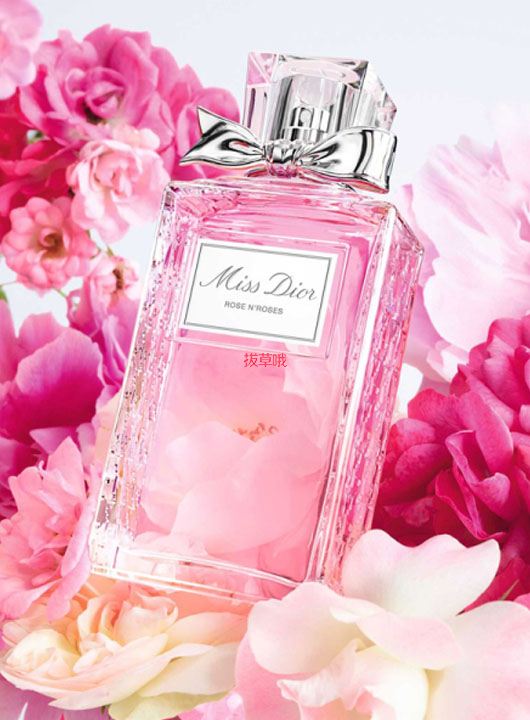 沉醉于高级玫瑰的迷人芬芳—Dior玫舞轻旋香水