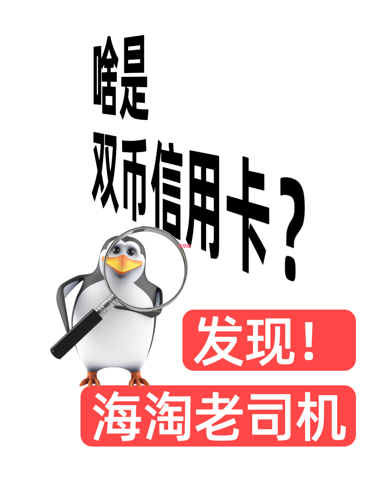 💳海淘黑话词典｜“双币信用卡”不是能刷两种颜色的卡，而是你海淘不被砍单的隐形外挂！