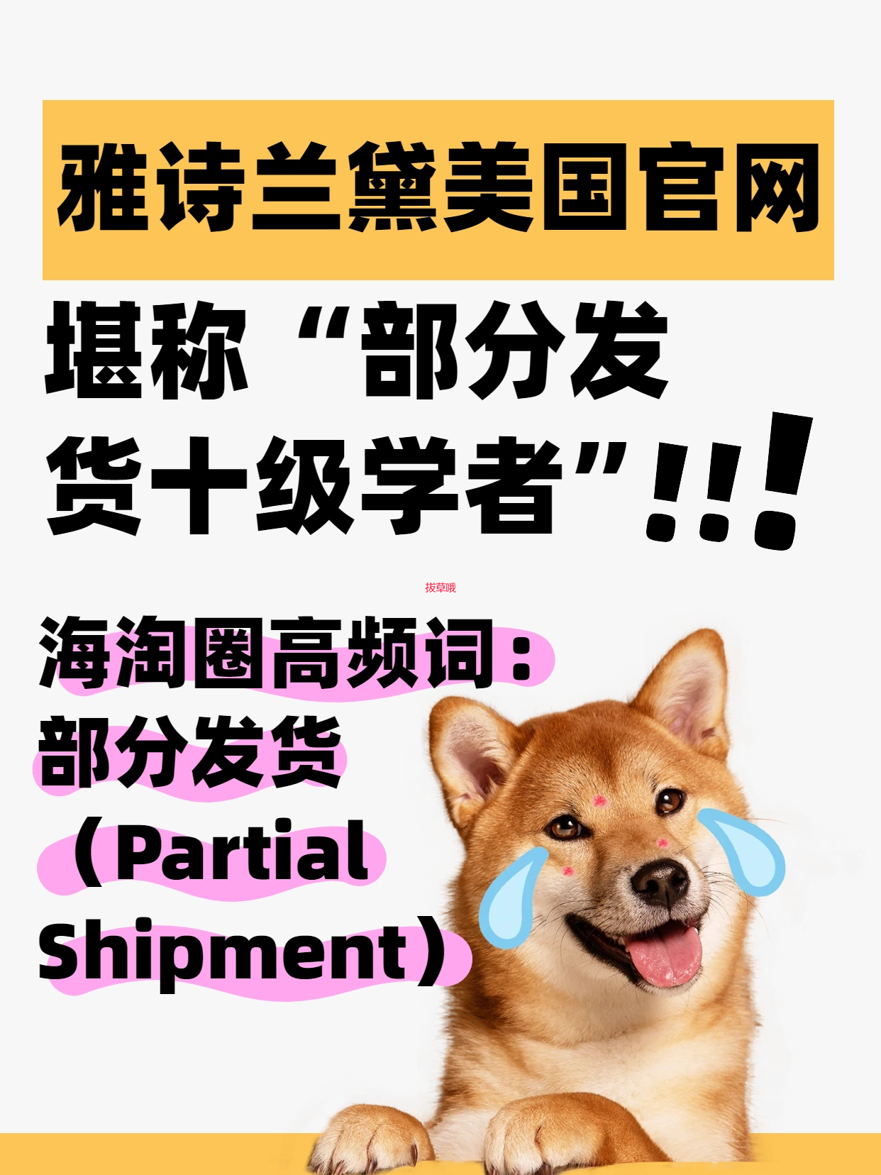 📦 海淘黑话词典｜“部分发货”不是商家贴心分批送，是雅诗兰黛官网的“拖延式发货玄学”！